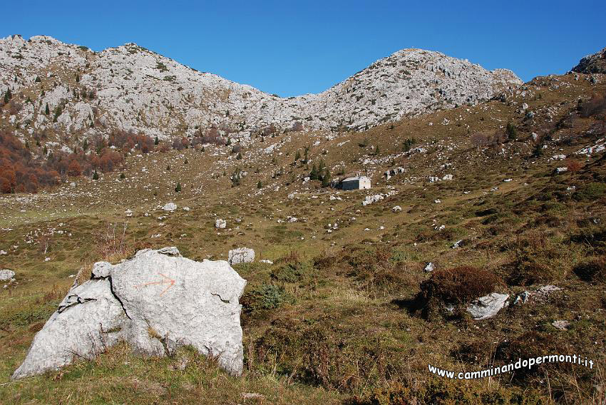 09 13098 Baita Piazzoli.JPG